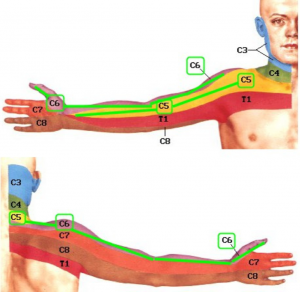 aštrus skausmas kairėje ranka alkūnės sąnario spasmalgon sąnarių skausmas