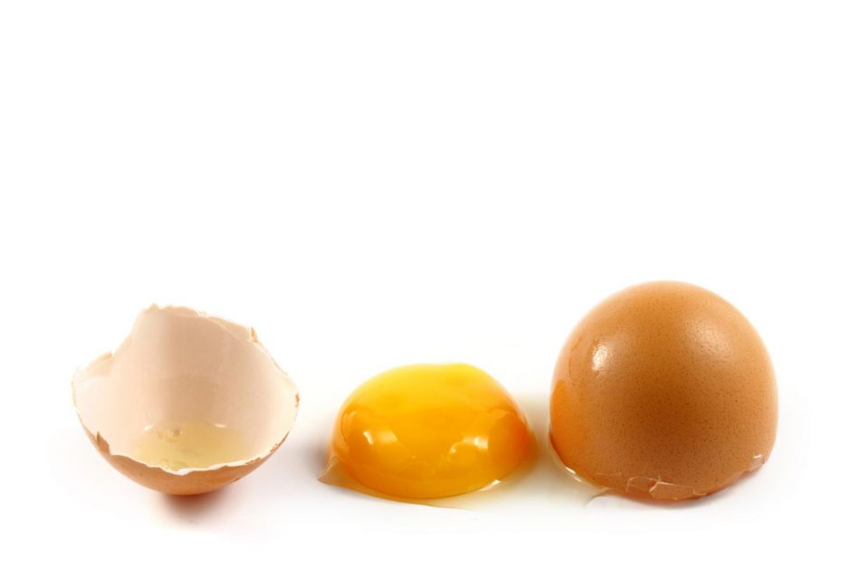 kiaušinio baltymą panaudojimas gamybai sąnarių gydymo kaip ilgai sąnariai gali pakenkti