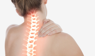 sąnarių esantys osteochondrozės paryškintas sąnarių ir nugaros raumenys